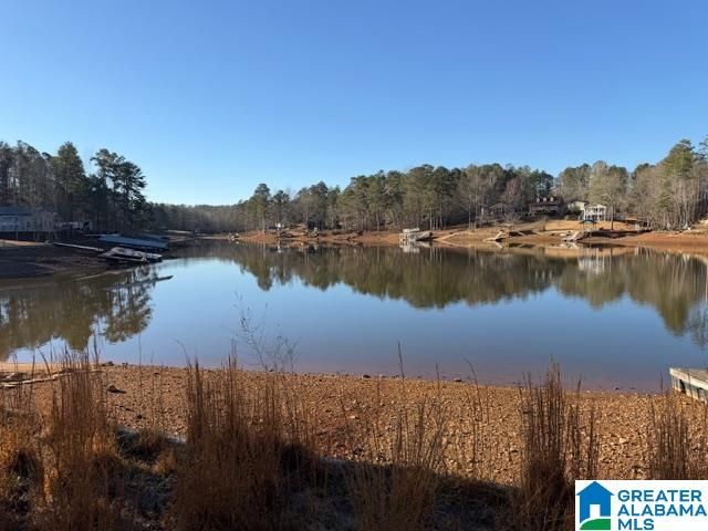 575 SUNSET DRIVE, Wedowee, AL 36278