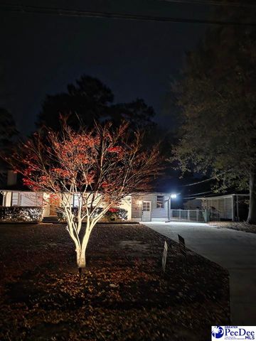 1162 Pinckney Ave, Florence, SC 29505