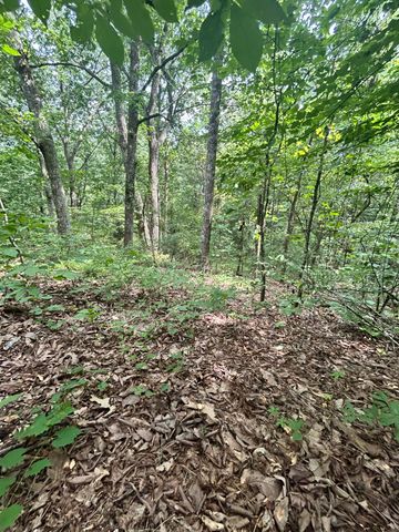 0 Sutton Drive Lot 6, Ringgold, GA 30736