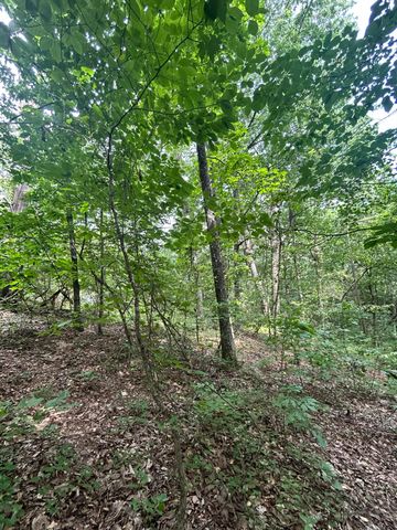 0 Sutton Drive Lot 6, Ringgold, GA 30736