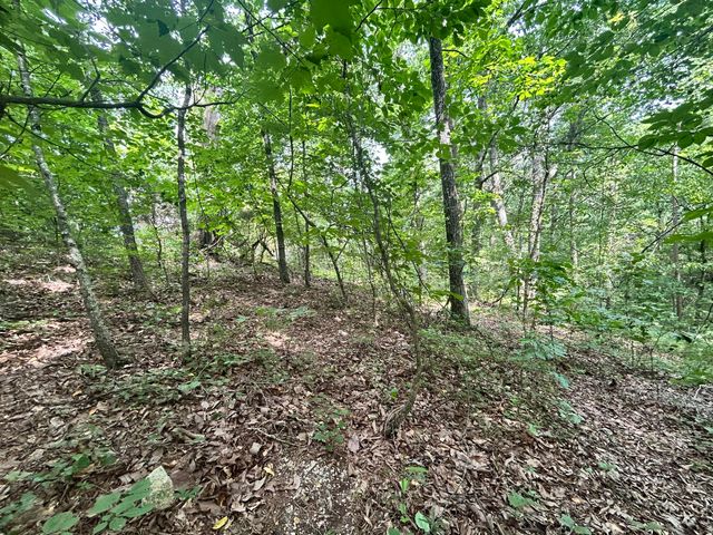 0 Sutton Drive Lot 6, Ringgold, GA 30736