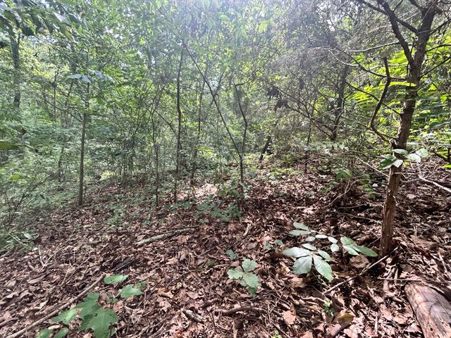 0 Sutton Drive Lot 6, Ringgold, GA 30736
