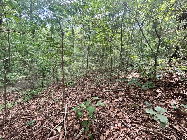 0 Sutton Drive Lot 6, Ringgold, GA 30736