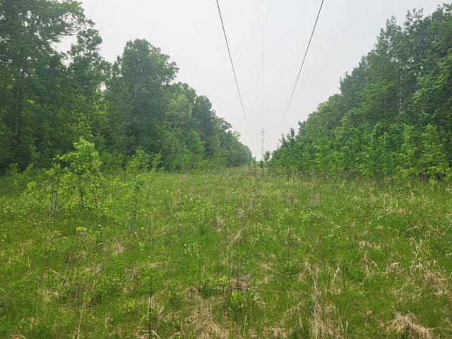 13505 580th Avenue, Menahga, MN 56464