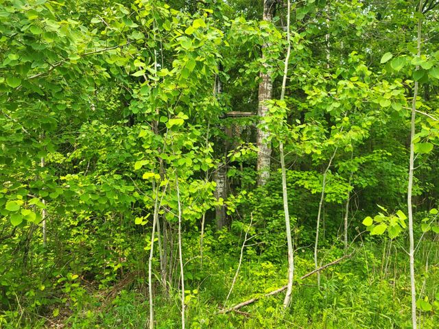13505 580th Avenue, Menahga, MN 56464