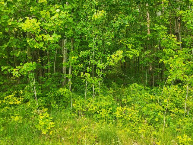 13505 580th Avenue, Menahga, MN 56464