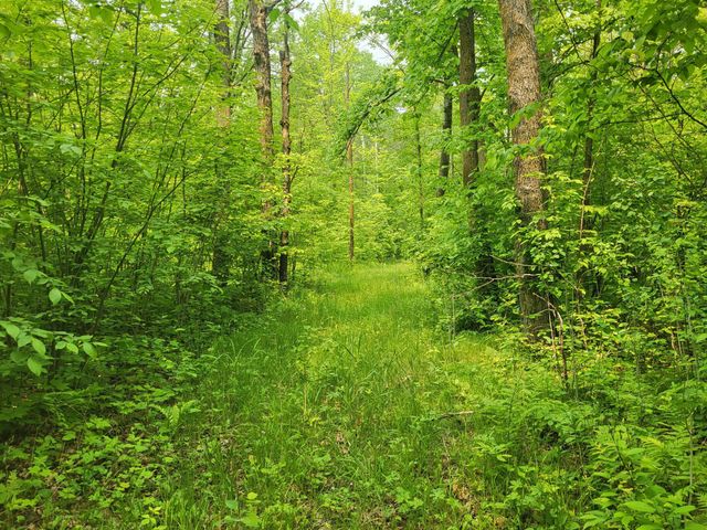 13505 580th Avenue, Menahga, MN 56464