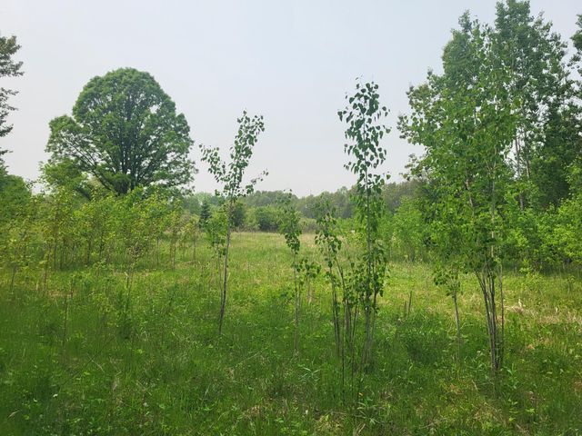 13505 580th Avenue, Menahga, MN 56464