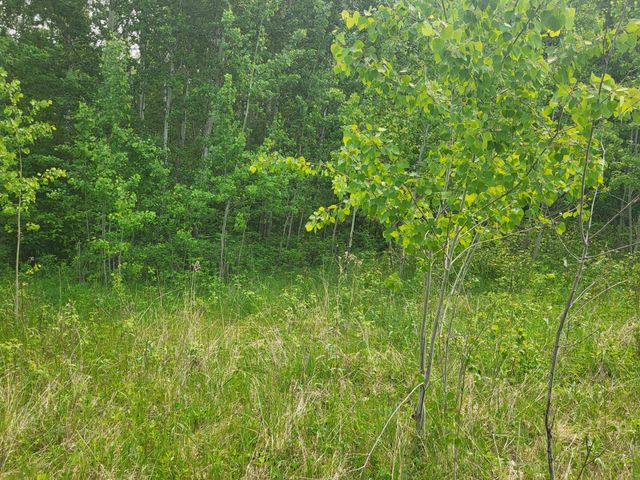 13505 580th Avenue, Menahga, MN 56464