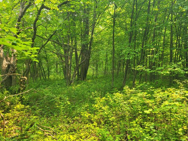 13505 580th Avenue, Menahga, MN 56464