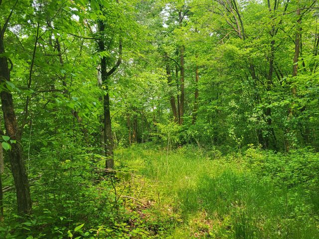 13505 580th Avenue, Menahga, MN 56464