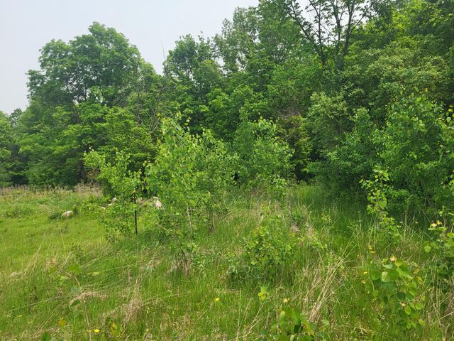 13505 580th Avenue, Menahga, MN 56464