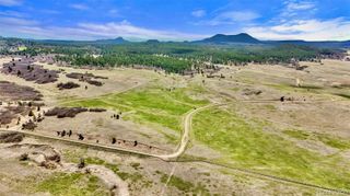 3 S Perry Park Road, Larkspur, CO 80118