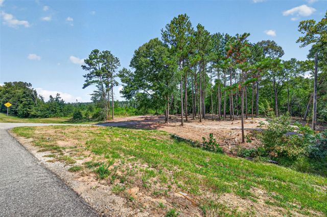 TBD 0 Us Highway 190 W, Livingston, TX 77351