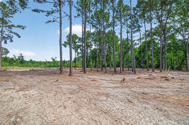 TBD 0 Us Highway 190 W, Livingston, TX 77351