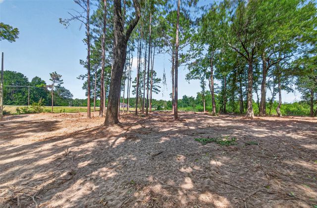TBD 0 Us Highway 190 W, Livingston, TX 77351