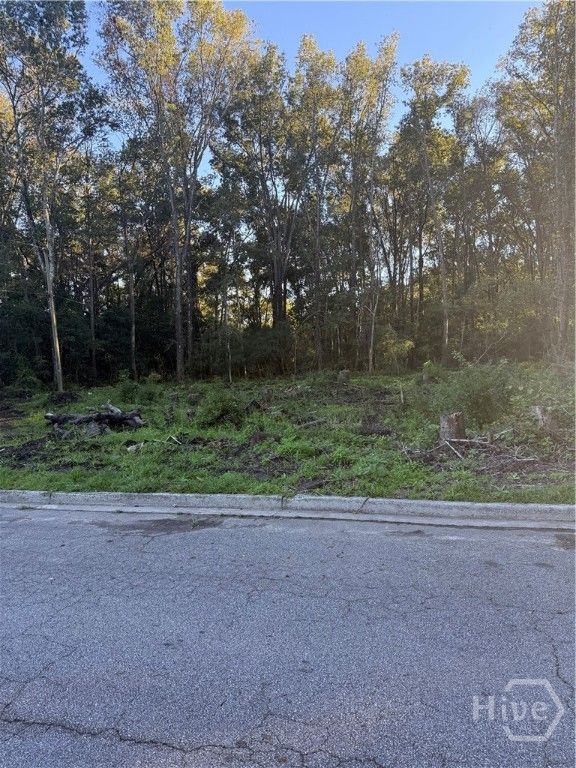 Image 1 of property listing at 0 Carroll Street, Savannah, GA 31405