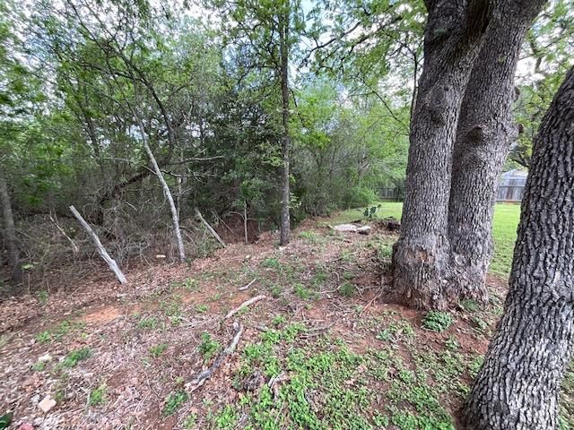 117 Allison CV, Elgin, TX 78621