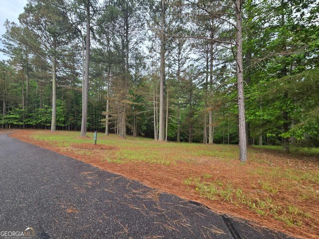 0 Sweetwater Lane, Blairsville, GA 30512