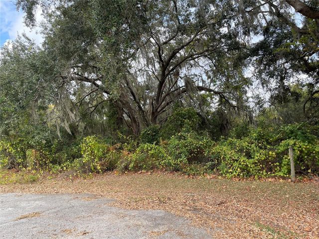 SE 97TH COURT, Summerfield, FL 34491