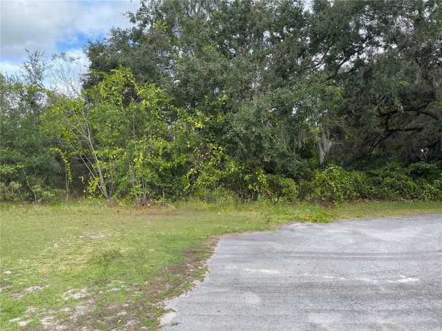 SE 97TH COURT, Summerfield, FL 34491