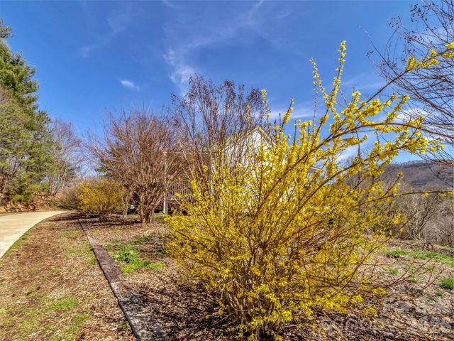 39 Millard Cove Road, Leicester, NC 28748