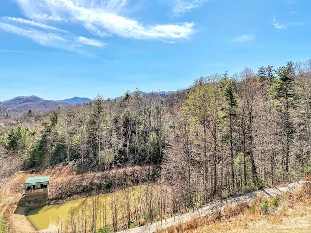39 Millard Cove Road, Leicester, NC 28748