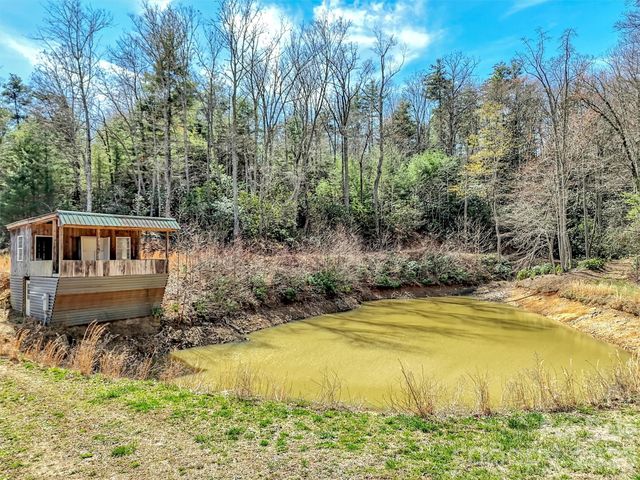 39 Millard Cove Road, Leicester, NC 28748