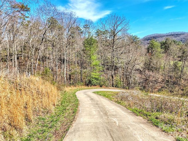39 Millard Cove Road, Leicester, NC 28748