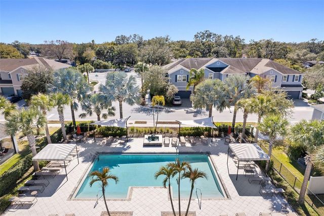 1101 ARBOUR VERDE COURT, Tampa, FL 33613