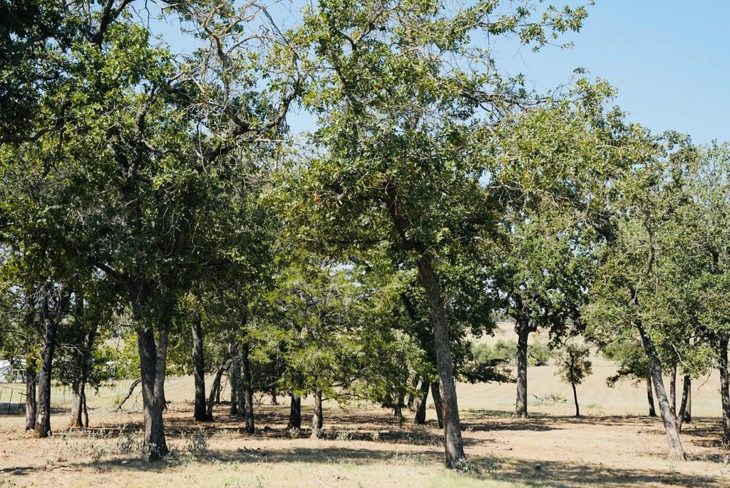 640 County Road 475 RD, Luling, TX 78648