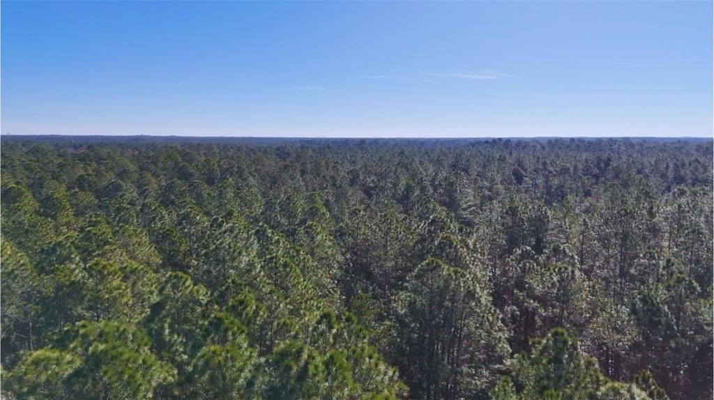 Image 8 of property listing at OLD TRAIN ROAD, New Smyrna Beach, FL 32168