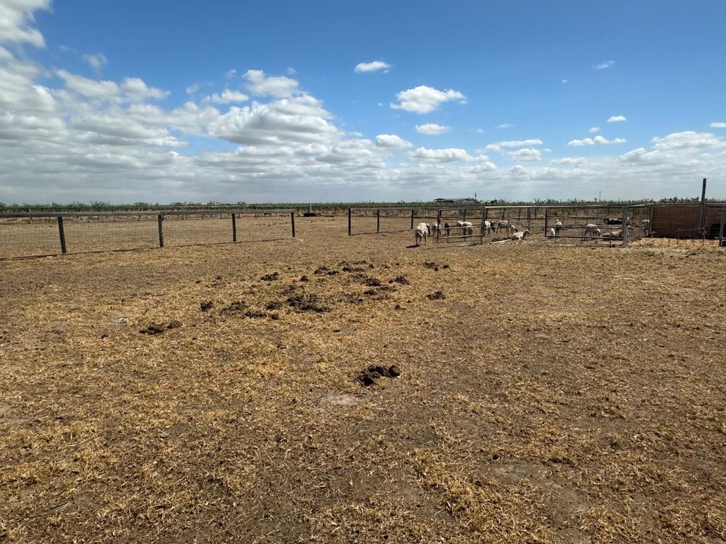 Image 12 of property listing at 7599 Avenue 152, Tipton, CA 93272