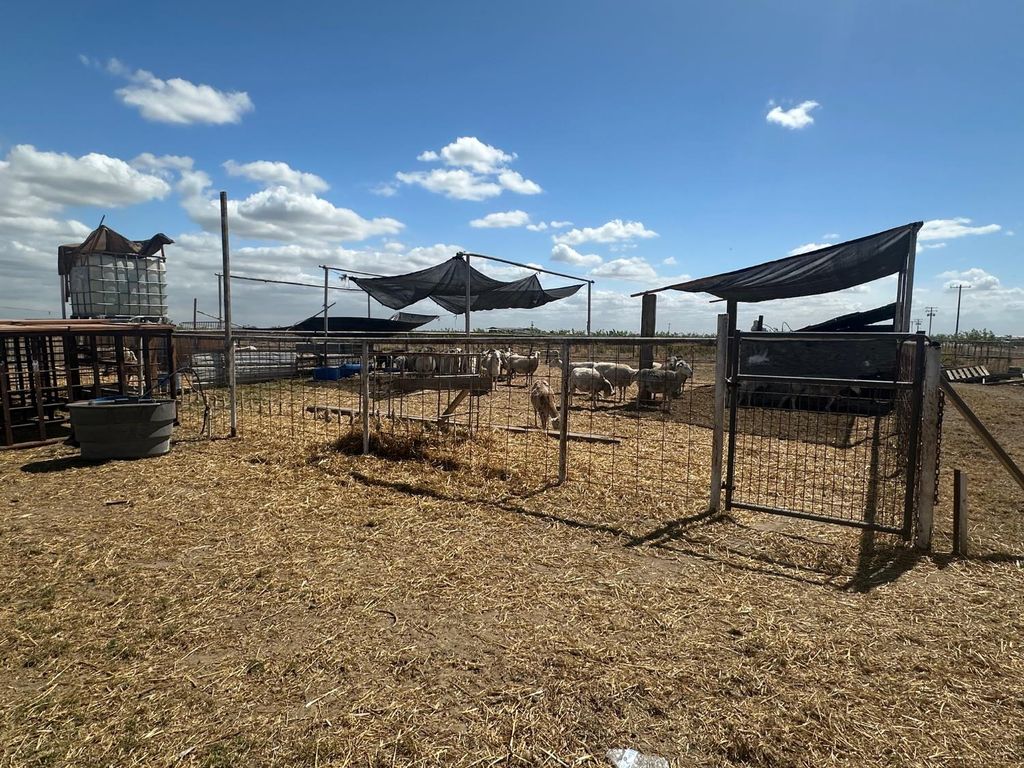 Image 16 of property listing at 7599 Avenue 152, Tipton, CA 93272