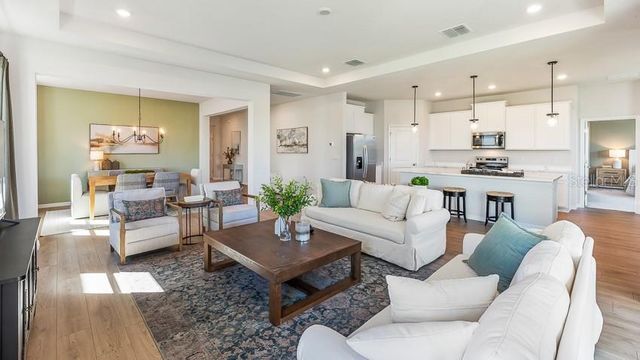 10433 WOODLAND GARDEN WAY, Parrish, FL 34219