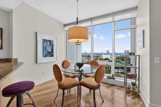 175 1ST STREET SOUTH STREET 1106, St Petersburg, FL 33701