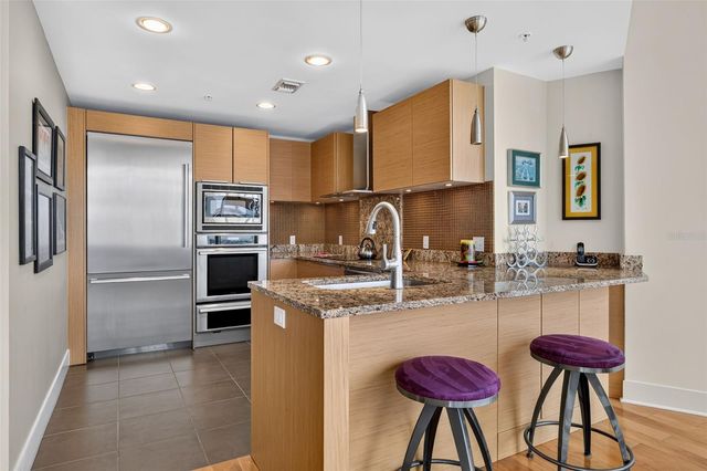 175 1ST STREET SOUTH STREET 1106, St Petersburg, FL 33701