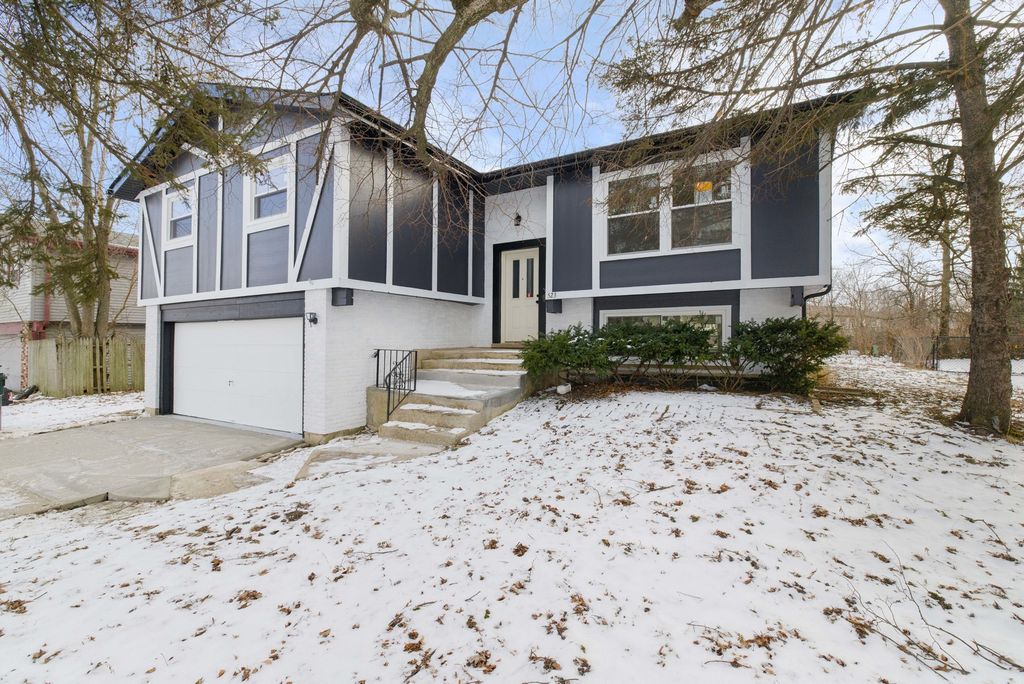 523 Nathan Road, University Park, IL 60484