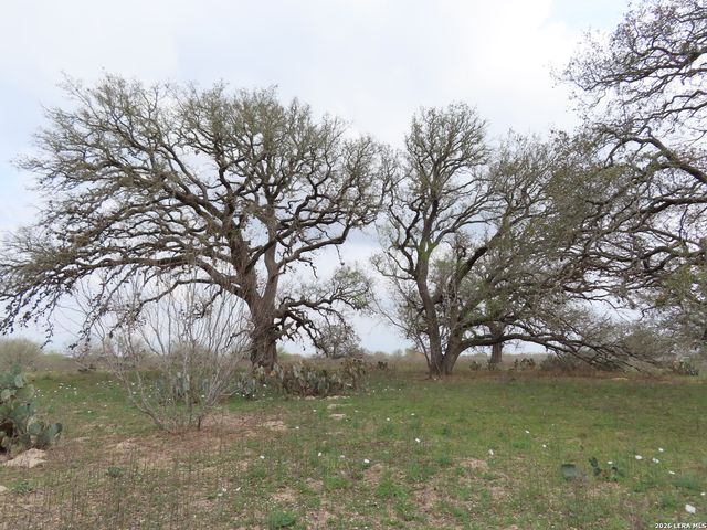 678 TANK HOLLOW RD, Poteet, TX 78065