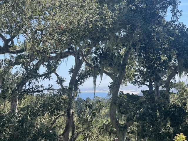 2308 Golden Oaks Lane, Monterey, CA 93940
