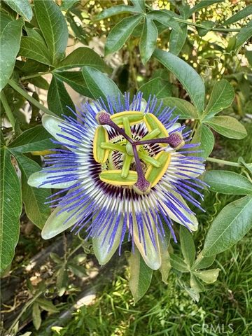 13608 Yukon Avenue, Hawthorne, CA 90250