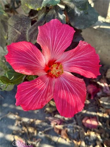 13608 Yukon Avenue, Hawthorne, CA 90250