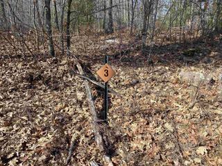 Lot 3 ACORN RIDGE ROAD, Mosinee, WI 54455