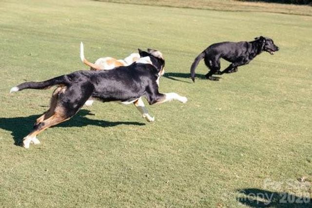 36 Timberidge Drive, Lake Wylie, SC 29710