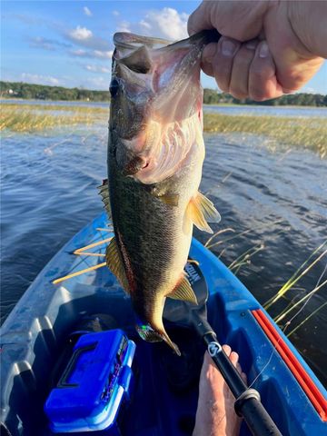 3100 NE 104TH TERRACE, Silver Springs, FL 34488