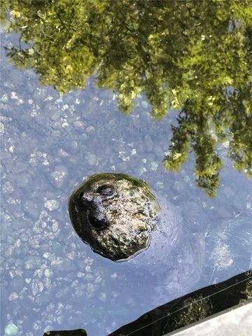 3100 NE 104TH TERRACE, Silver Springs, FL 34488