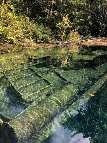 3100 NE 104TH TERRACE, Silver Springs, FL 34488