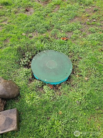 108 Martina Street SE, Bucoda, WA 98530