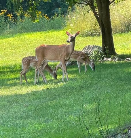 2688 N Goldring Road, La Porte, IN 46350