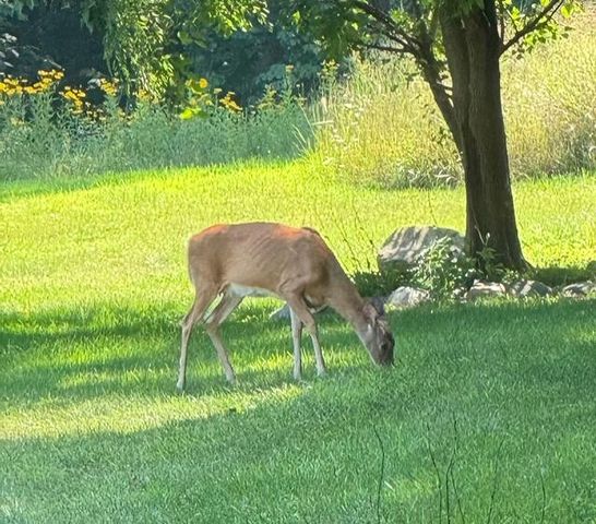 2688 N Goldring Road, La Porte, IN 46350